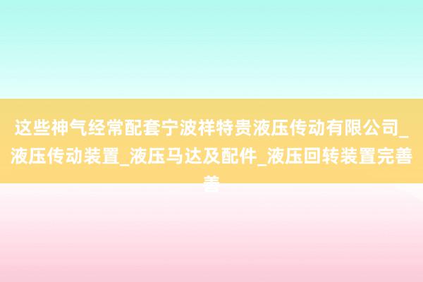 这些神气经常配套宁波祥特贵液压传动有限公司_液压传动装置_液压马达及配件_液压回转装置完善