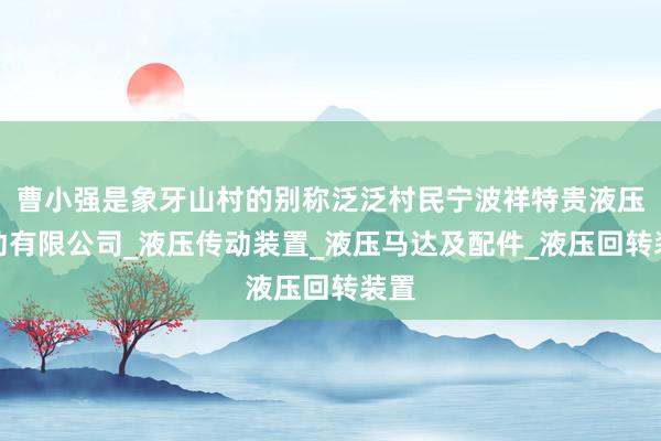 曹小强是象牙山村的别称泛泛村民宁波祥特贵液压传动有限公司_液压传动装置_液压马达及配件_液压回转装置