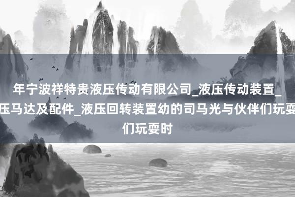 年宁波祥特贵液压传动有限公司_液压传动装置_液压马达及配件_液压回转装置幼的司马光与伙伴们玩耍时