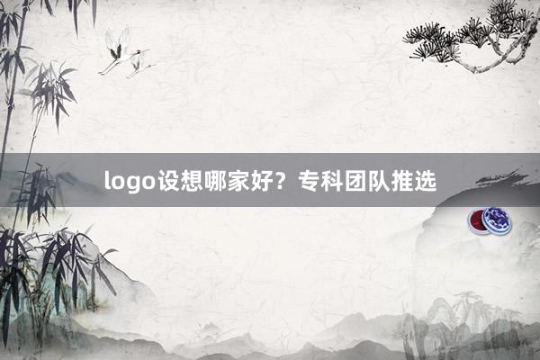 logo设想哪家好？专科团队推选