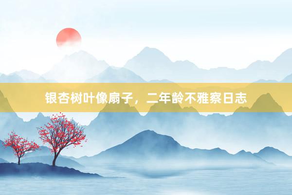 银杏树叶像扇子，二年龄不雅察日志